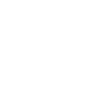 The Black Fashion Movement Logo